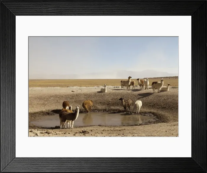 Framed Print : DDE-90037896 Framed Print : DDE-90037896