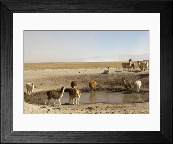 Framed Print : DDE-90037897 Framed Print : DDE-90037897