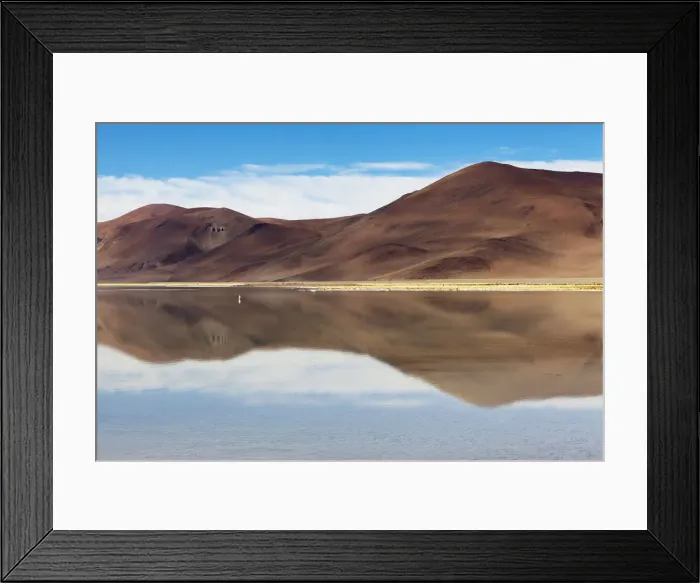 Framed Print : DDE-90037906