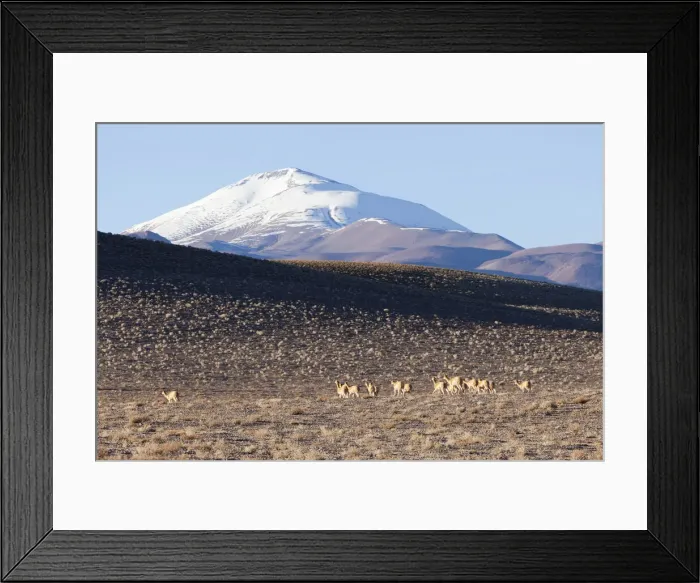 Framed Print : DDE-90037909 Framed Print : DDE-90037909