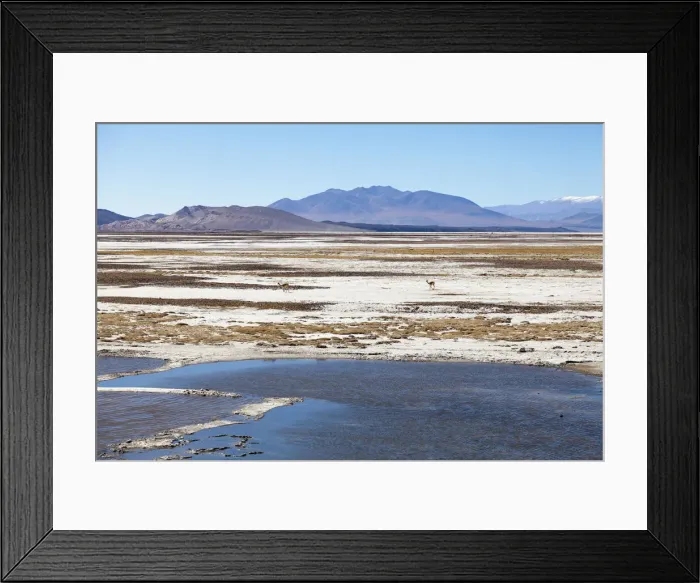 Framed Print : DDE-90037917 Framed Print : DDE-90037917