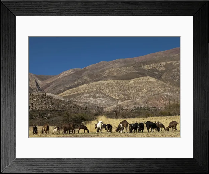 Framed Print : DDE-90037919 Framed Print : DDE-90037919