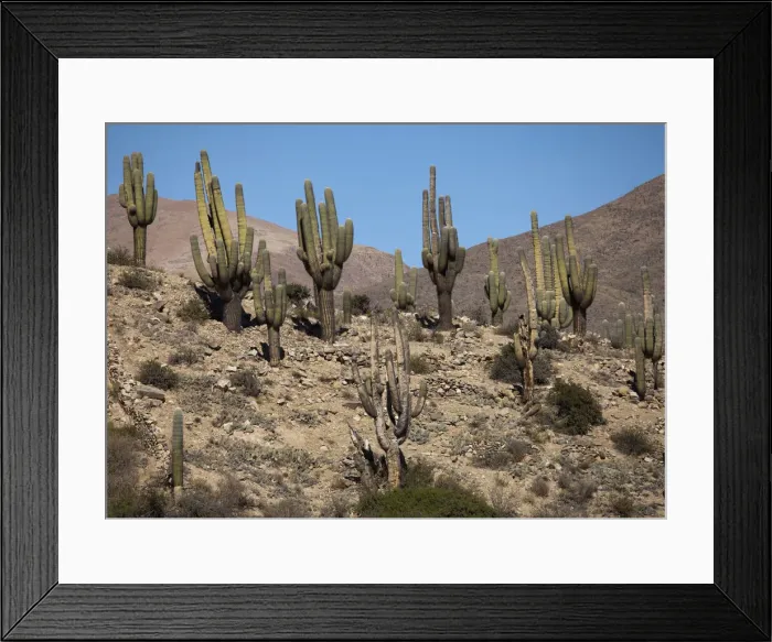 Framed Print : DDE-90037918 Framed Print : DDE-90037918