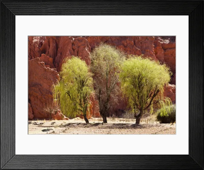 Framed Print : DDE-90037922