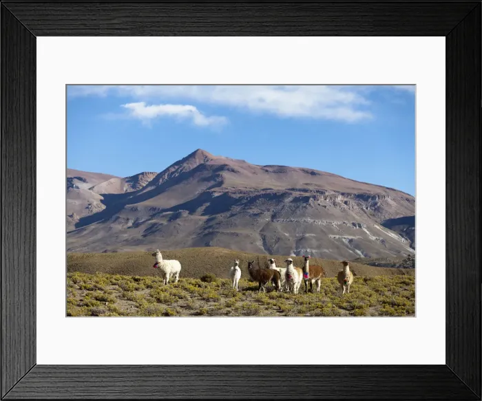Framed Print : DDE-90037932 Framed Print : DDE-90037932