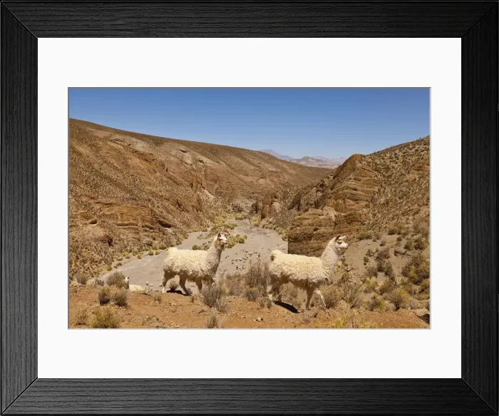 Framed Print : DDE-90037933