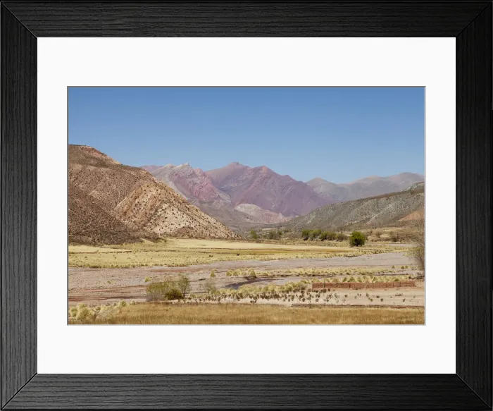 Framed Print : DDE-90037938