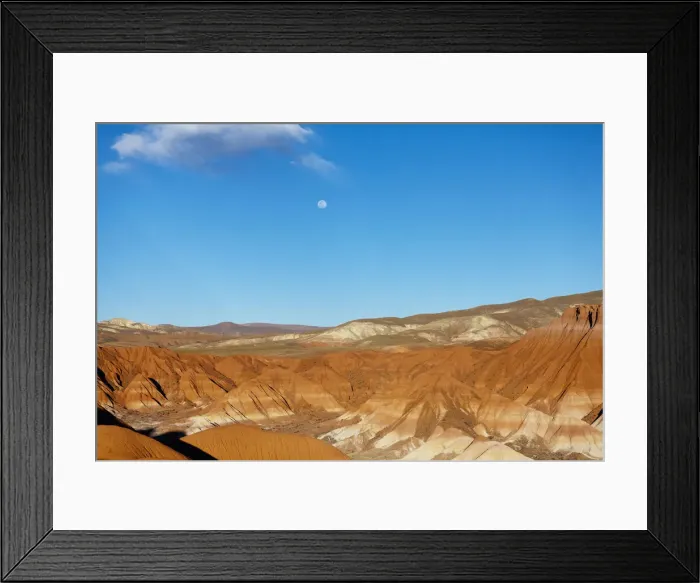 Framed Print : DDE-90037941