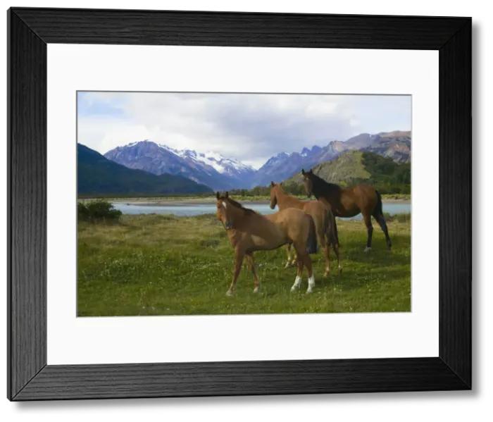 Framed Print : DDE-90037943 Framed Print : DDE-90037943