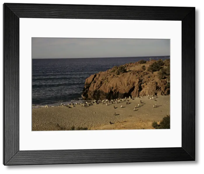 Framed Print : DDE-90037945 Framed Print : DDE-90037945