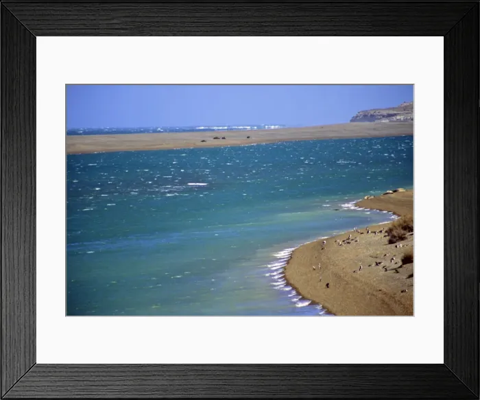 Framed Print : DDE-90037952 Framed Print : DDE-90037952