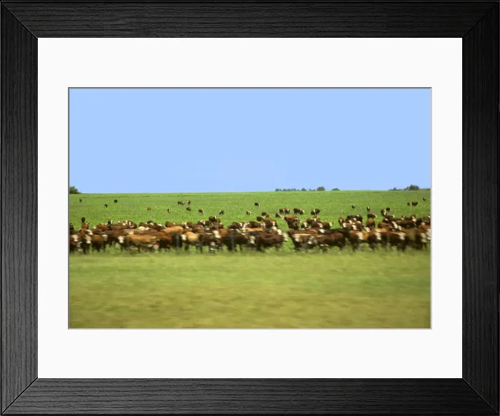 Framed Print : DDE-90037955 Framed Print : DDE-90037955