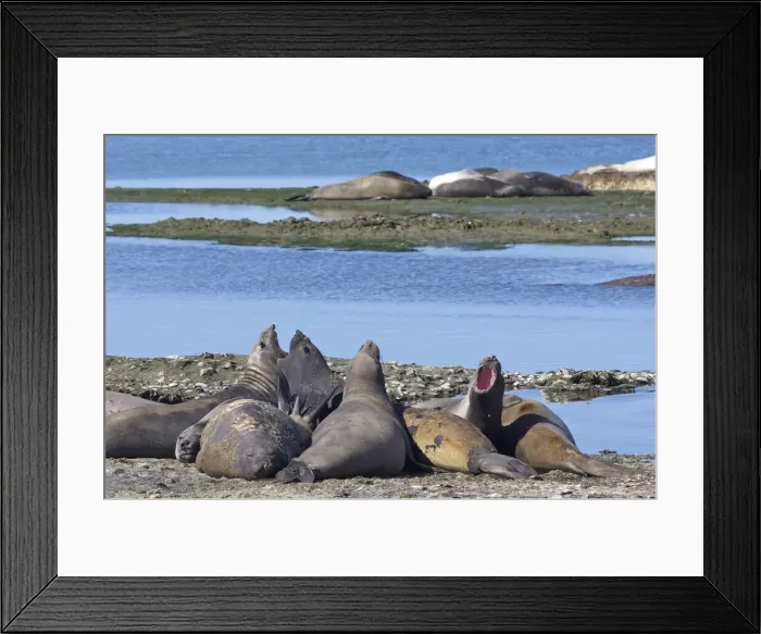 Framed Print : DDE-90037960 Framed Print : DDE-90037960