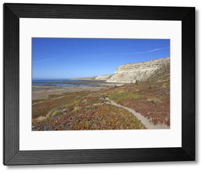 Framed Print : DDE-90037965 Framed Print : DDE-90037965