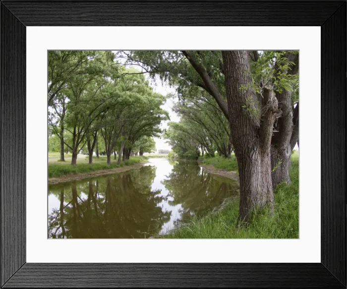 Framed Print : DDE-90037971 Framed Print : DDE-90037971