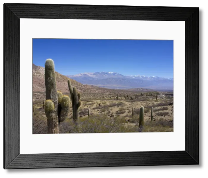Framed Print : DDE-90037975 Framed Print : DDE-90037975