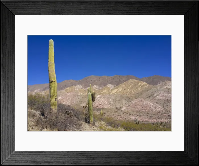 Framed Print : DDE-90037976 Framed Print : DDE-90037976