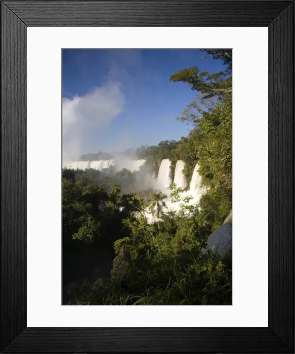 Framed Print : DDE-90037983