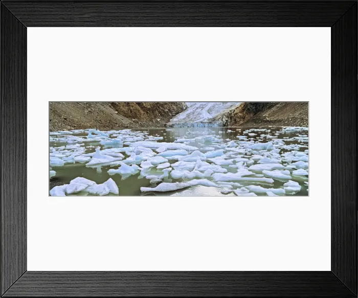 Framed Print : DDE-90038013