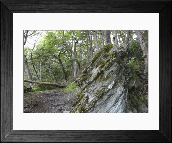 Framed Print : DDE-90038015