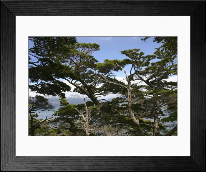 Framed Print : DDE-90038017 Framed Print : DDE-90038017