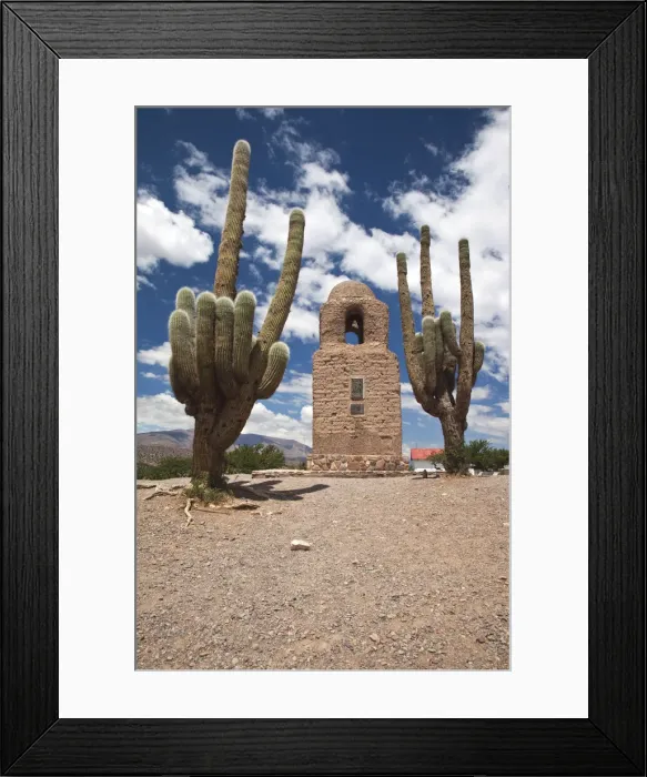 Framed Print : DDE-90038029