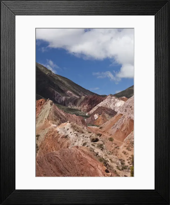 Framed Print : DDE-90038030