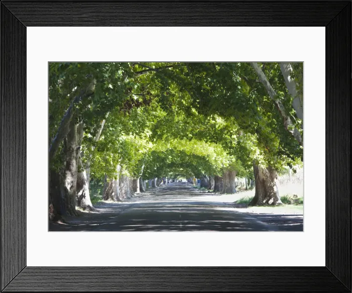 Framed Print : DDE-90038034 Framed Print : DDE-90038034