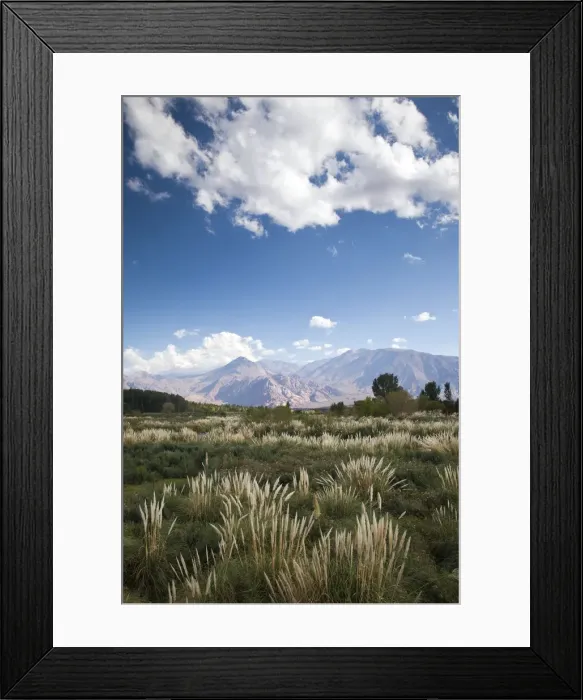 Framed Print : DDE-90038037 Framed Print : DDE-90038037