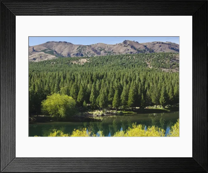 Framed Print : DDE-90038038 Framed Print : DDE-90038038