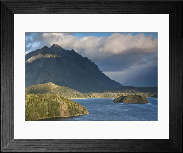 Framed Print : DDE-90038059