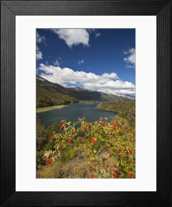Framed Print : DDE-90038069 Framed Print : DDE-90038069
