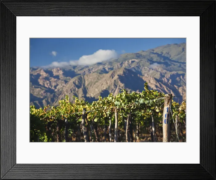 Framed Print : DDE-90038071 Framed Print : DDE-90038071