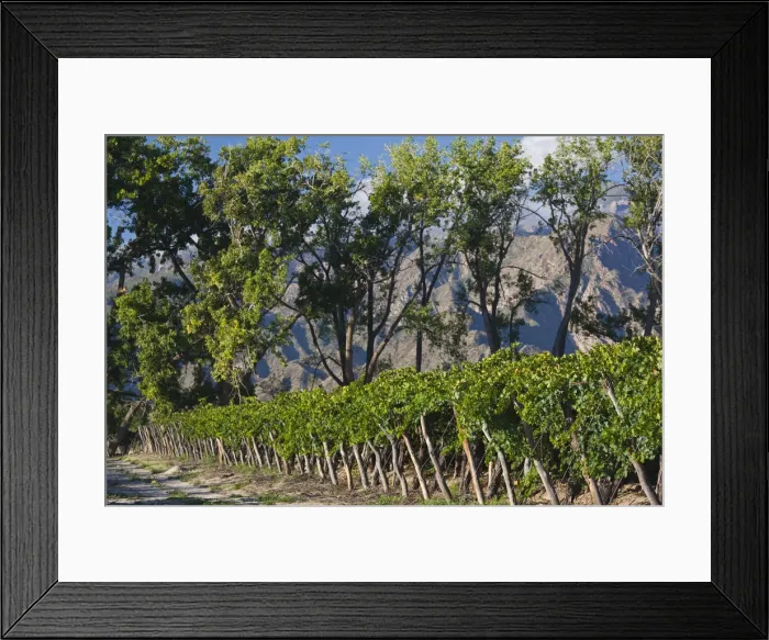 Framed Print : DDE-90038072 Framed Print : DDE-90038072