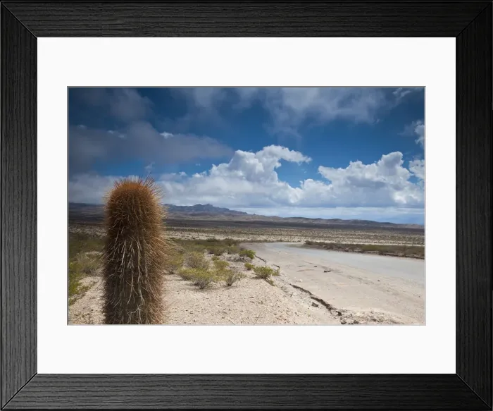 Framed Print : DDE-90038076 Framed Print : DDE-90038076