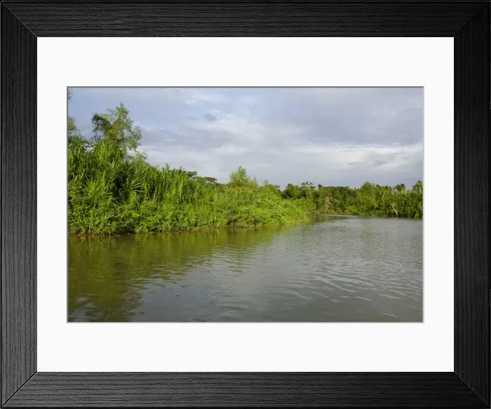 Framed Print : DDE-90038086