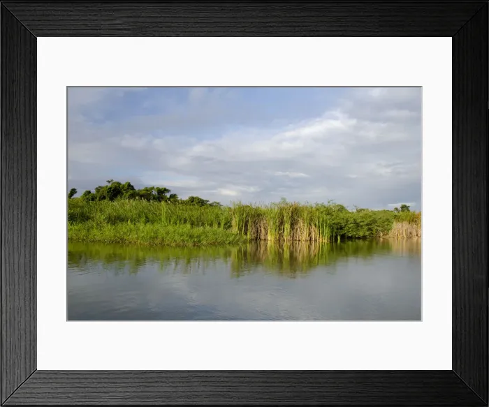 Framed Print : DDE-90038087 Framed Print : DDE-90038087