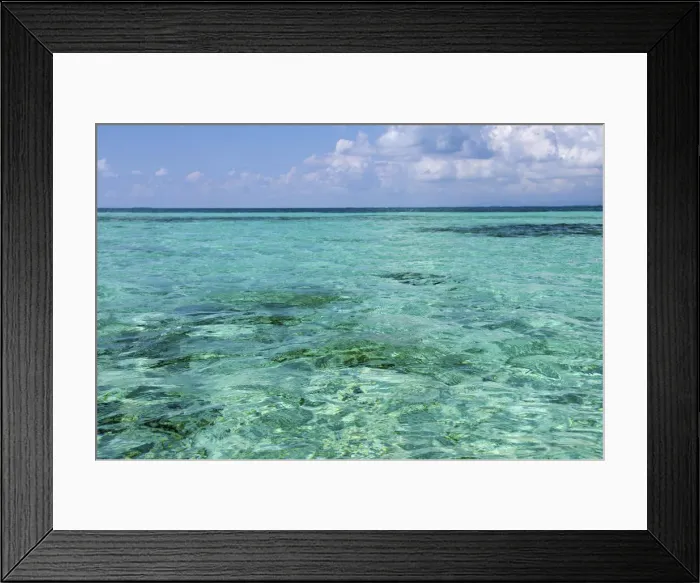 Framed Print : DDE-90038088