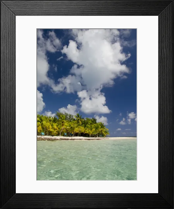 Framed Print : DDE-90038089 Framed Print : DDE-90038089