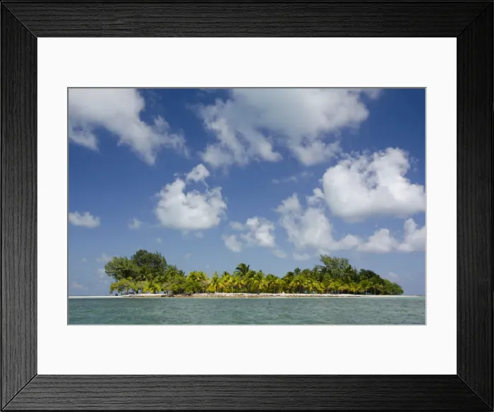 Framed Print : DDE-90038090 Framed Print : DDE-90038090