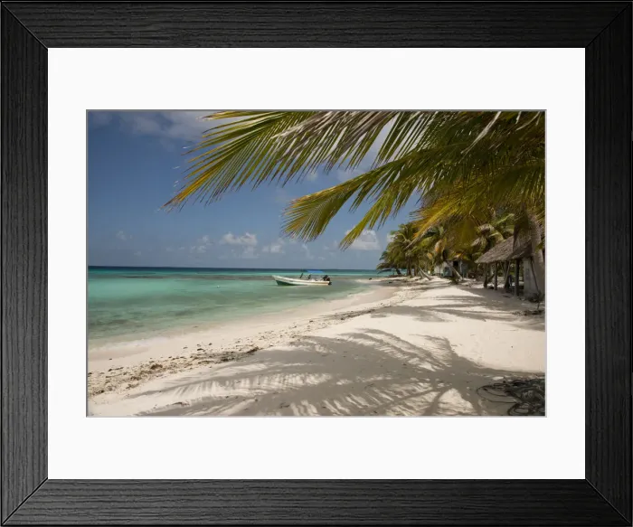 Framed Print : DDE-90038107