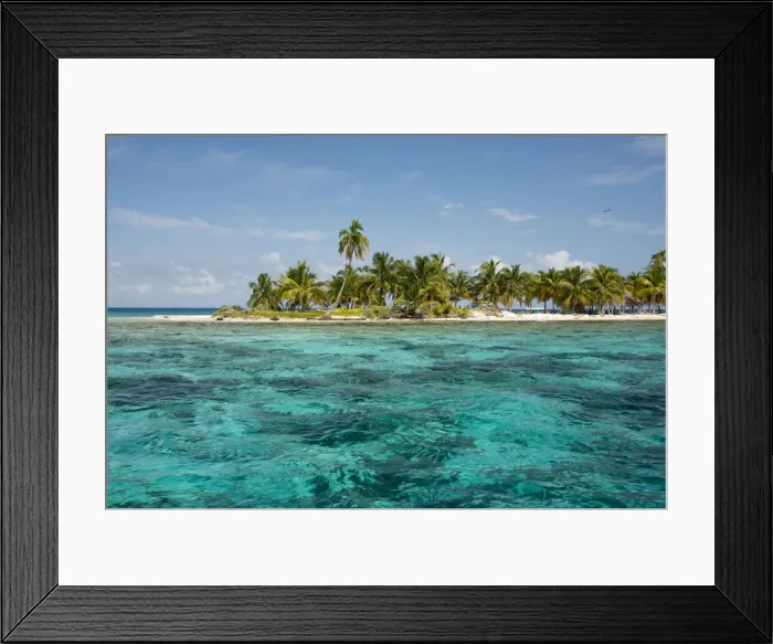 Framed Print : DDE-90038109
