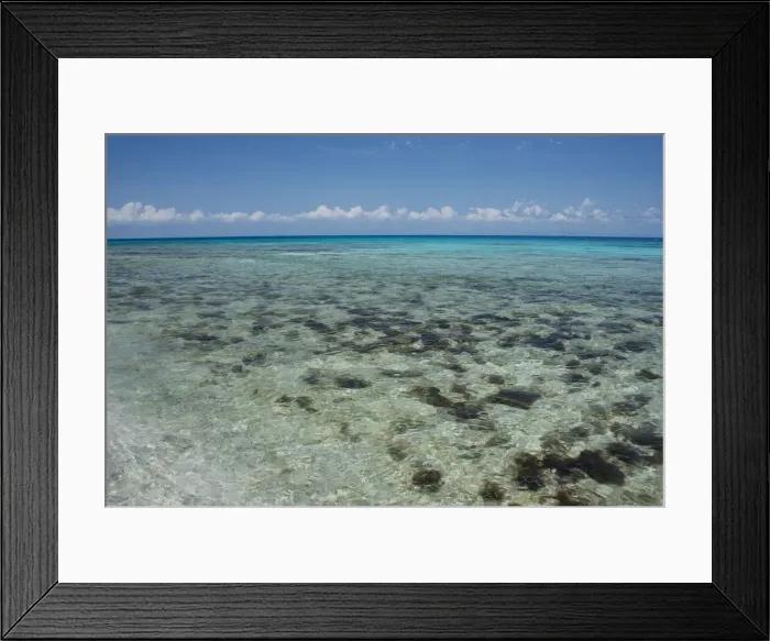 Framed Print : DDE-90038110 Framed Print : DDE-90038110