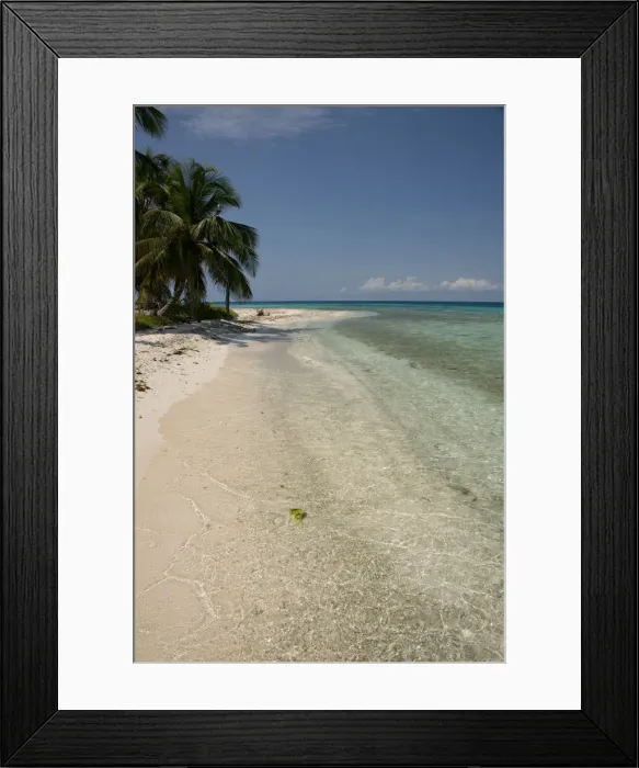 Framed Print : DDE-90038111 Framed Print : DDE-90038111