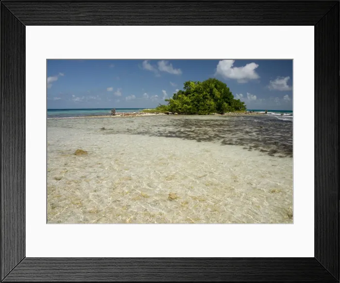Framed Print : DDE-90038112 Framed Print : DDE-90038112