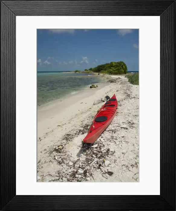 Framed Print : DDE-90038113 Framed Print : DDE-90038113
