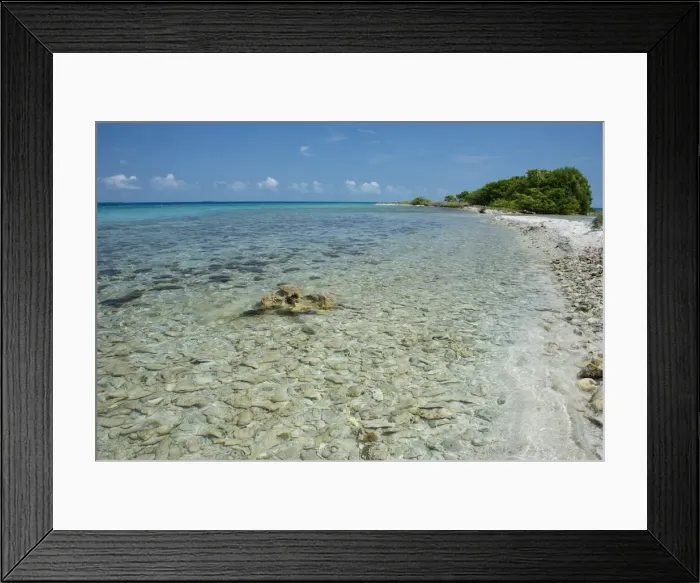 Framed Print : DDE-90038114 Framed Print : DDE-90038114