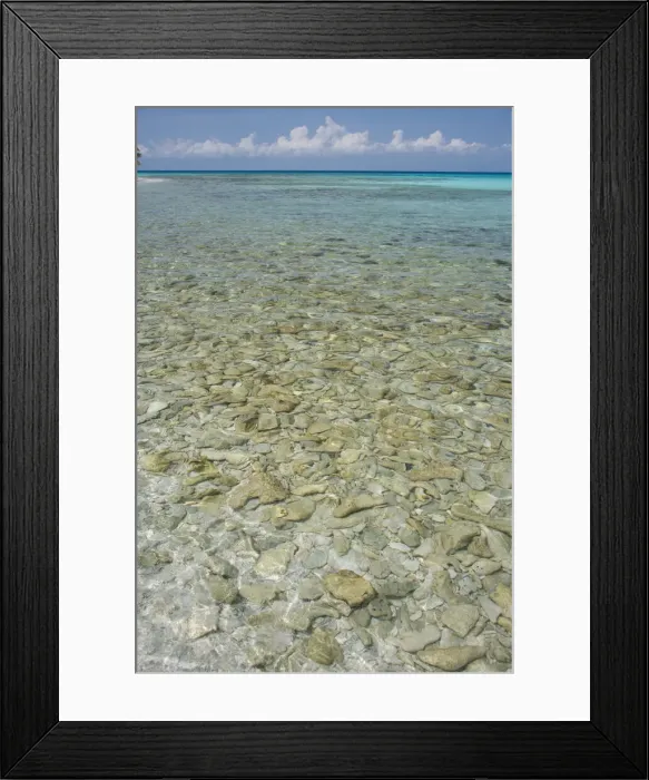 Framed Print : DDE-90038115 Framed Print : DDE-90038115