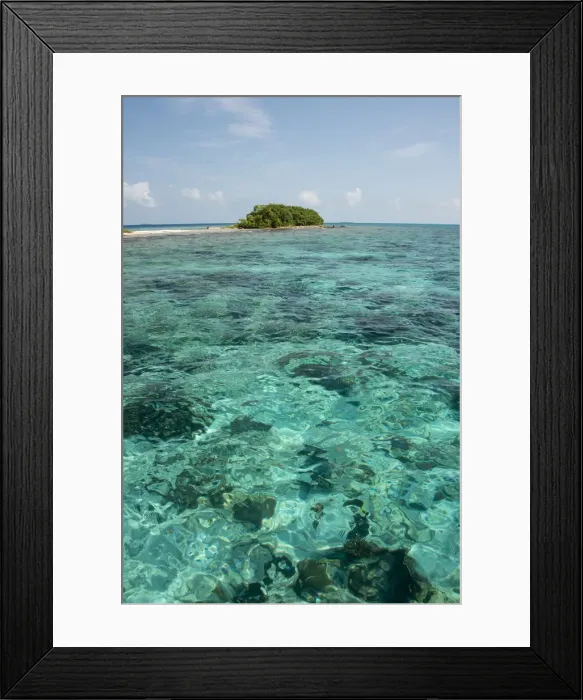 Framed Print : DDE-90038116 Framed Print : DDE-90038116