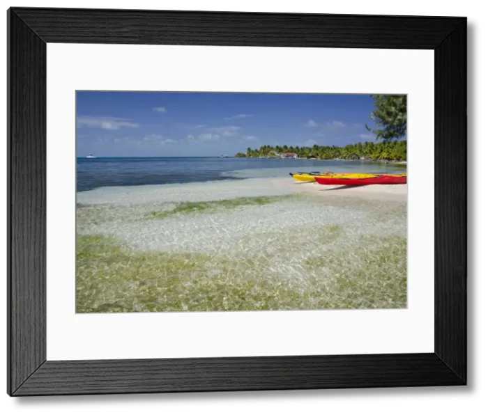 Framed Print : DDE-90038118 Framed Print : DDE-90038118